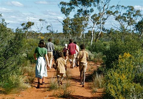 Aboriginal Family History | NIT