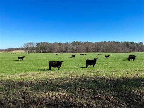 Walters Farms