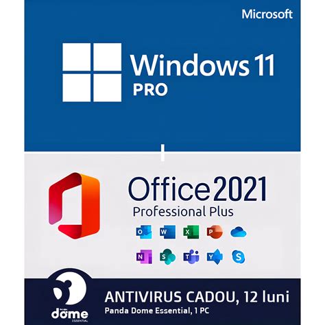 Pachet Licente Windows Professional Usb Office Professional