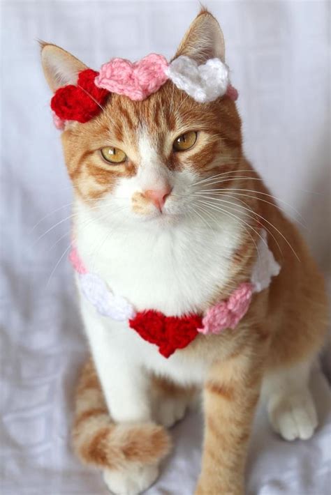 Heart Headband For Cats Valentines Day Cat Accessories Etsy New