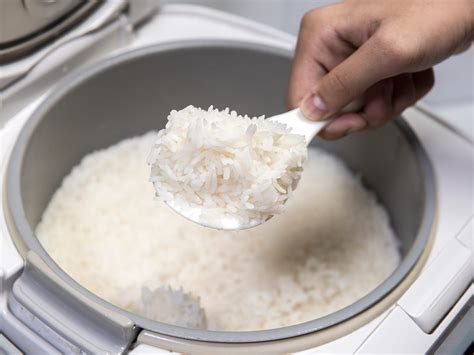 Essential Rice Cooker Accessories We Know Rice