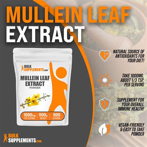 Mullein Leaf Extract A Daily Dose Of Nature