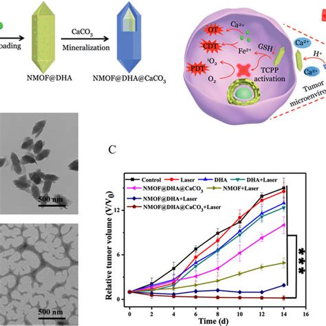 A Schematic Illustration Of The Preparation Of The Nanoplatform And