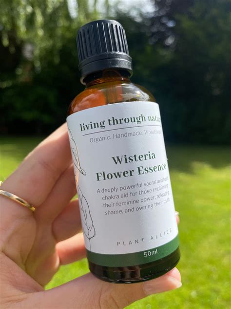 Wisteria Flower Essence 50ml Living Through Nature