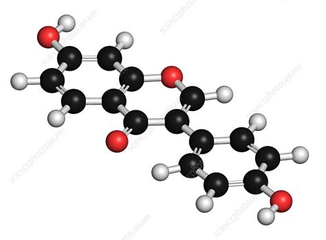 Daidzein Isoflavone Molecule Stock Image F021 4919 Science Photo