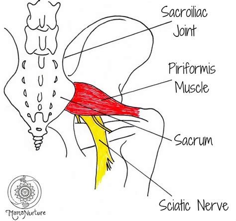 Piriformis Syndrome - MamaNurture