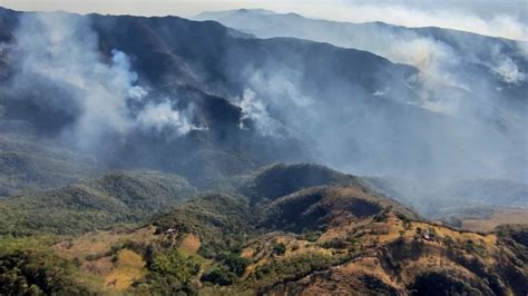 Cuatro Departamentos Concentran Los Incendios Forestales Activos En