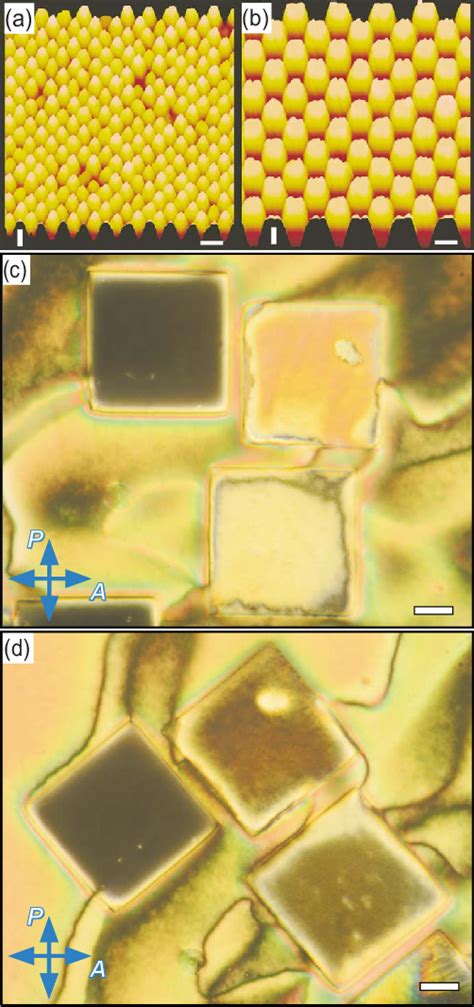 Color Online Topographically Patterned Alignment Layers And Nematic Lc