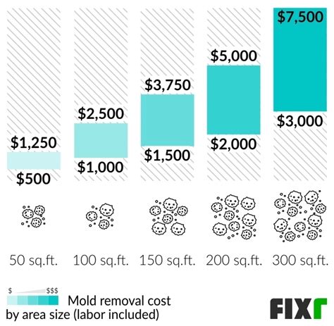 How Much Does It Cost To Remove White Mold From Basement Openbasement