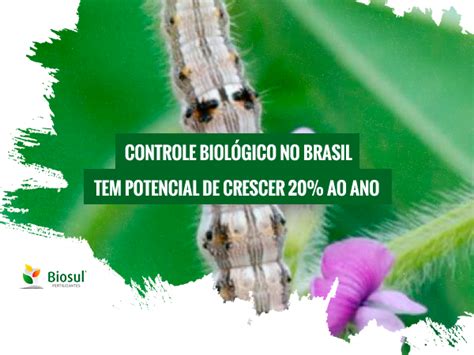 Controle Biol Gico No Brasil Tem Potencial De Crescer Ao Ano