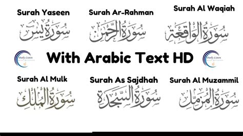 Surah Yaseen Ar Rahman Waqiah Mulk Sajdha Muzammil Recitation With