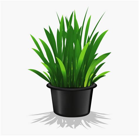 Flower Pot Transparent Background Potted Plant Png Free Transparent