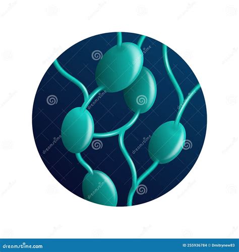 Lymph Nodes Gland 3d Icon Adaptive Immune System Vector Illustration