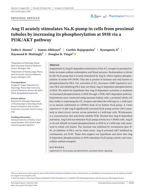 Pdf Ang Ii Acutely Stimulates Na Kpump In Cells From Proximal