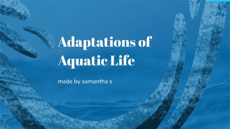 Adaptations of Aquatic Life by SAMANTHA SEGOVIA on Prezi