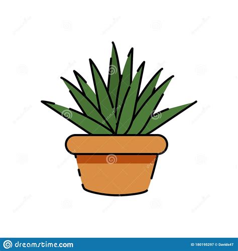 Icono de cactus aislado ilustración del vector Ilustración de floral