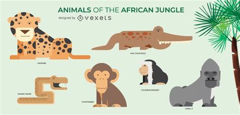 Set Of African Animals Illustrations Vector Download