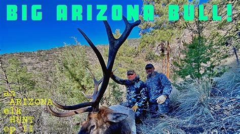 Elk Hunting Arizona Big Bull Down Late Rifle Bull Youtube