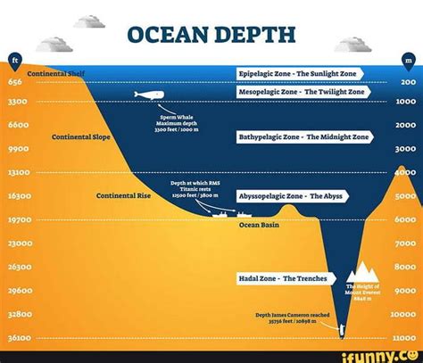 OCEAN DEPTH Epipelagic Zone - The Sunlight Zone 'Mesopelagic Zone - The ...