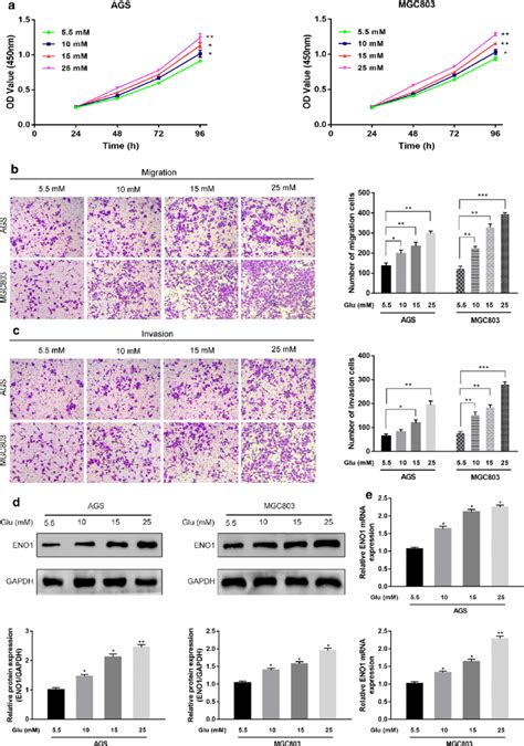 Hyperglycemia Promoted Gc Cell Proliferation Migration Invasion And