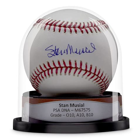 Balldome Display Quality Baseball Case Secure And Stylish Protection