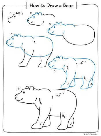 bear drawing tutorial tims printables
