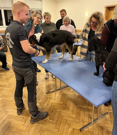 Temaaften Om F Rstehj Lp Til Hunde Rjk