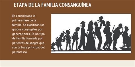 La Familia Y Su Evolución Histórica By Angeline Salguero Infogram