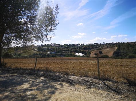 Moradia Casa De Campo T Venda Na Rua Das Po As Supercasa