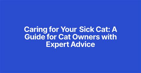 Caring For Your Sick Cat A Guide For Cat Owners With Expert Advice