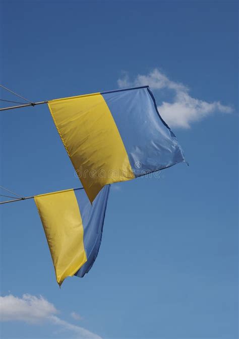 Ukrainian Flag Of Ukraine Stock Image Image Of Country 264269441