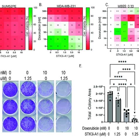 A Percent Growth Of SUM52PE MDA MB 231 And MCF 7 Cell Lines In