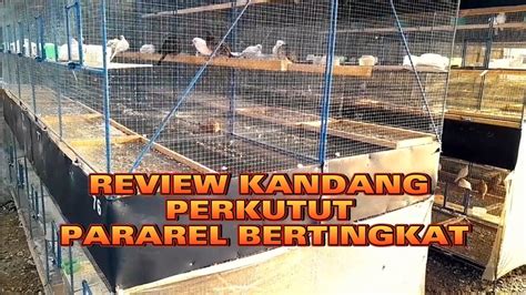 Review Kandang Perkutut Bertingkat Ternak Perkutut YouTube