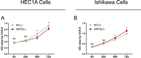 The Regulation Of Sirt On Cell Proliferation A In Hec A Cells