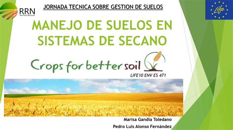 PDF MANEJO DE SUELOS EN SISTEMAS DE SECANOtraditional Crops