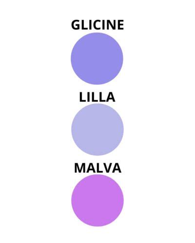 Che Differenza Cè Tra I Colori Glicine Malva E Lilla