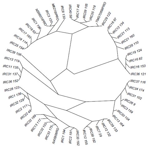 Dendogram Based On Euclidean Mean Distance Upgma Composing 50 F5