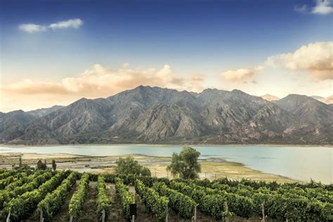 Plan A Luxury Mendoza Wine Tour And Road Trip Tourlane