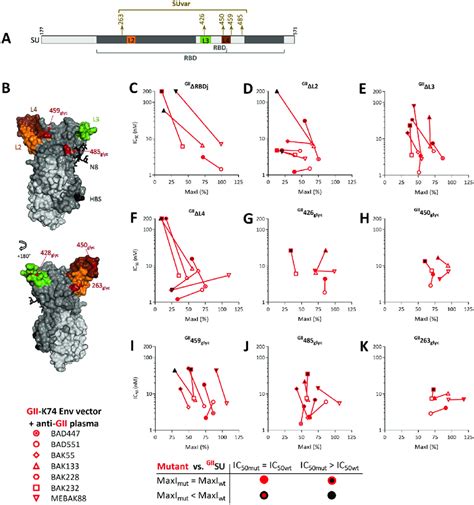 Most Plasma Samples Contain Nabs That Recognize The Rbdj Domain A