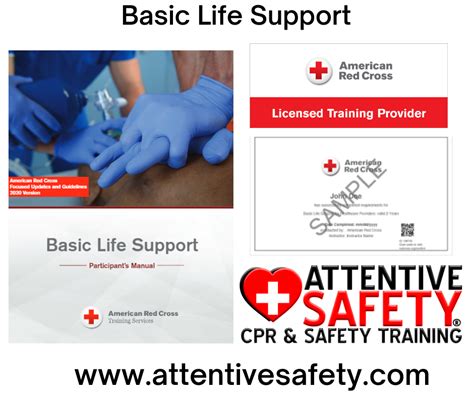 What Is The Difference Between Als Bls Aed Brands