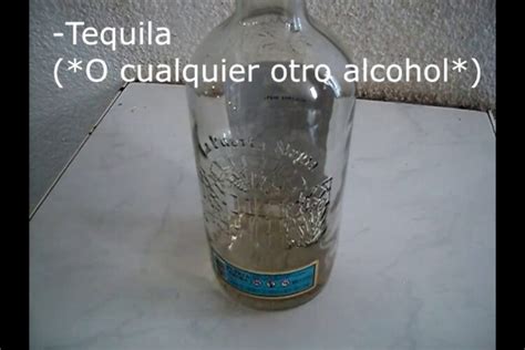 Porque El Alcohol No Se Congela Homarus