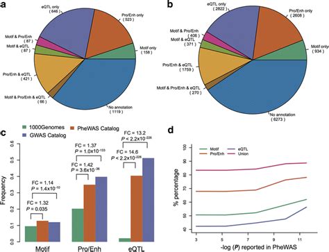 Snp Annotation And Enrichment Analysis In Different Types Of Functional