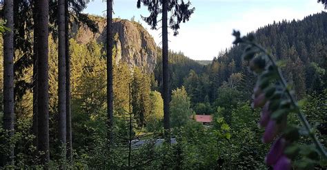 Rundwanderung Zum höchsten Kletterfelsen Thüringens Tambach