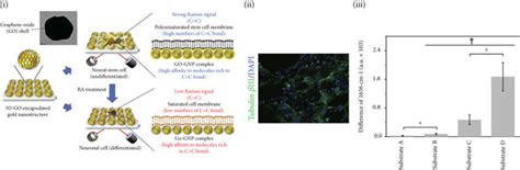 The Use Of Graphene Based Nanoparticles To Regulate The Proliferation