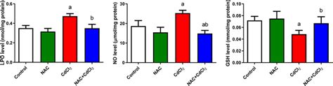 The Effect Of NAC And Or CdCl2 Administered On LPO NO And GSH Levels