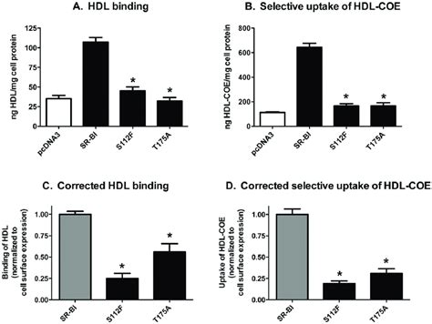 Mutant SR BI Receptors Display Decreased HDL Binding And Selective