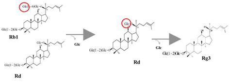 Conversion Pathway Of Ginsenosides Rb And Rd To Rg S By Recombinant