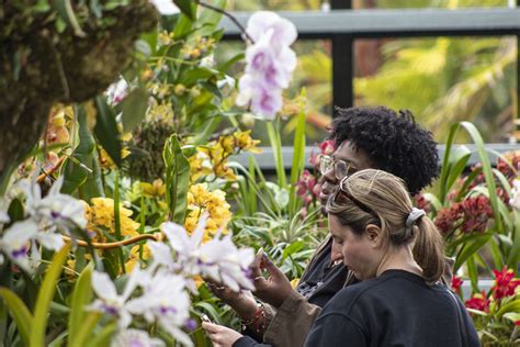 World of Orchids - San Diego Botanic Garden