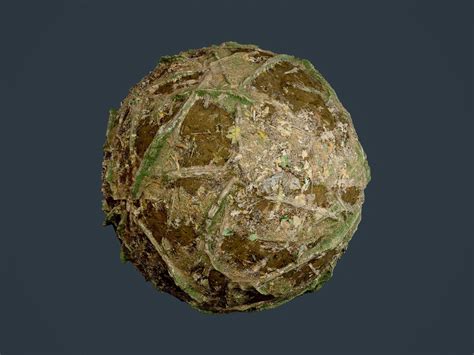 3d Forest Ground Seamless Pbr Texture 03 Cgtrader