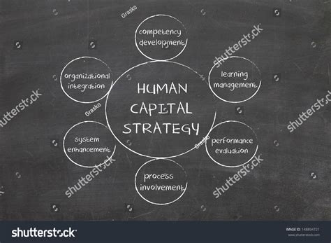 Human Capital Business Diagram Management Strategy Stock Photo